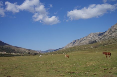 La valle di Tavignanu