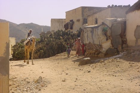 Strada eritrea con dromedario