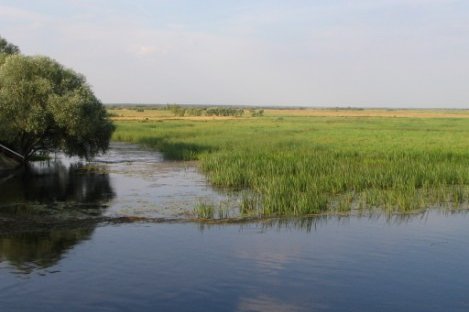Parco Nazionale di Biebrza