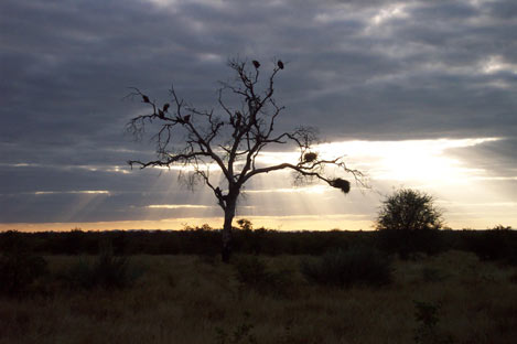 Kruger National Park